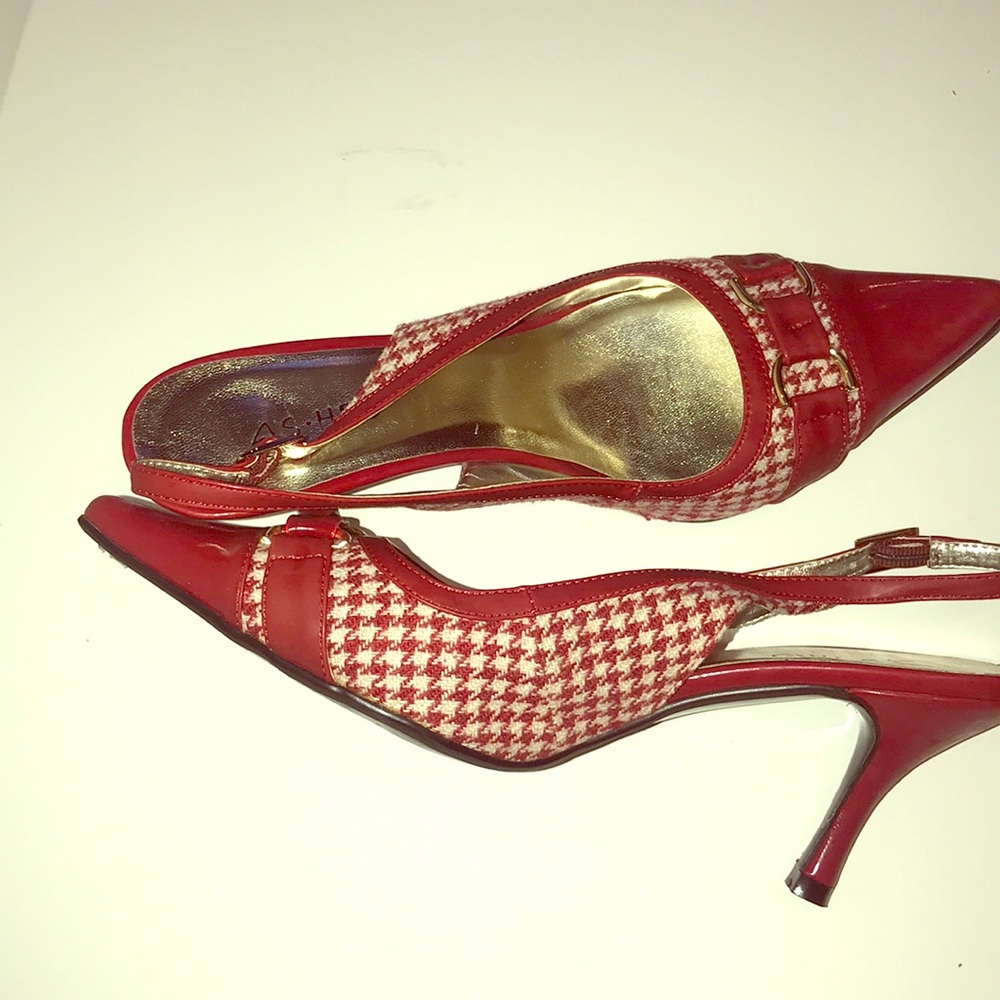 Ashro Pumps